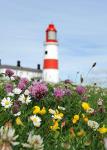 Souter Male Carers Group