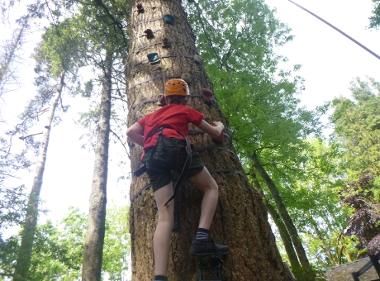 Tree climbing